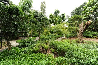 疗愈花园导览