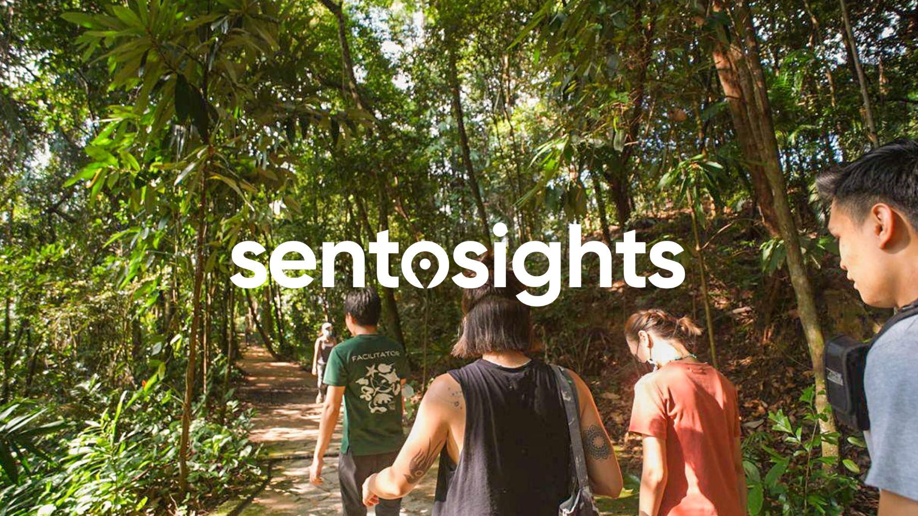 Immersive Rainforest Trails
