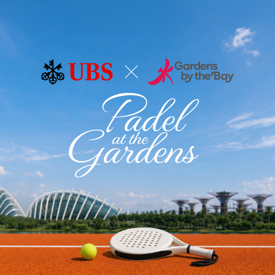 Padel at the Gardens