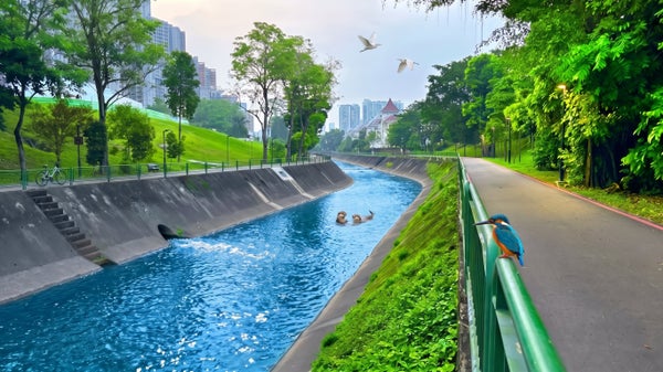 River Bank Walk & Social Dinner