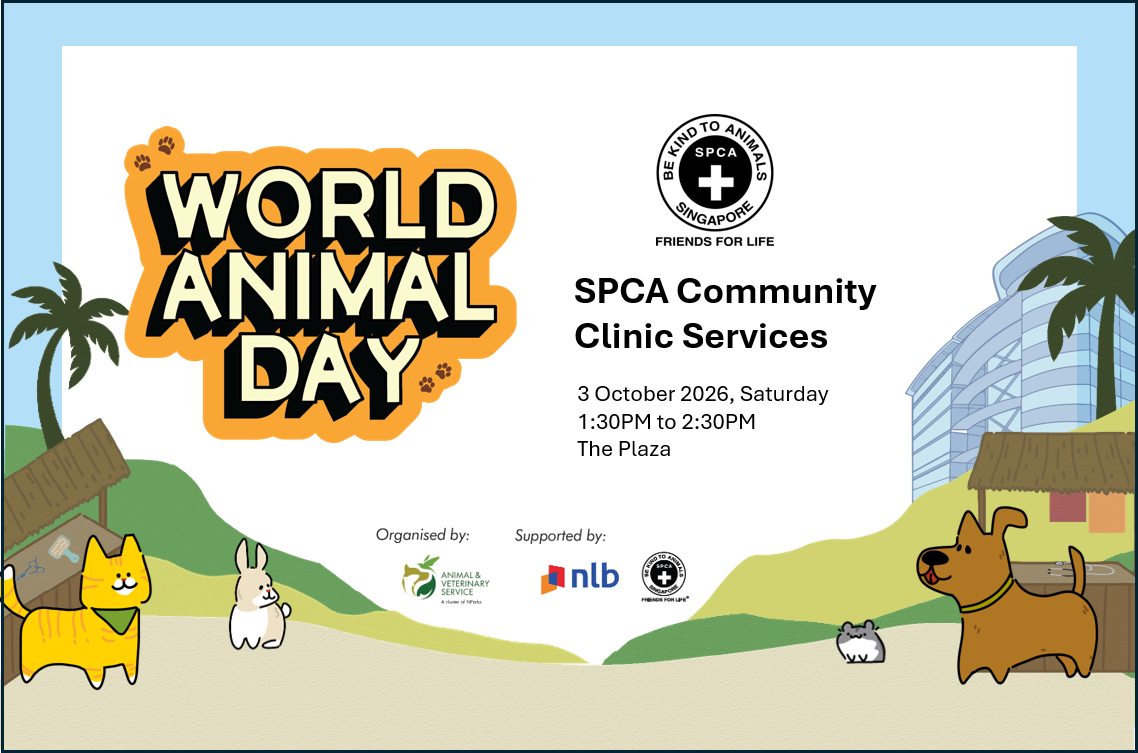 World Animal Day: SPCA Community Clinic Services