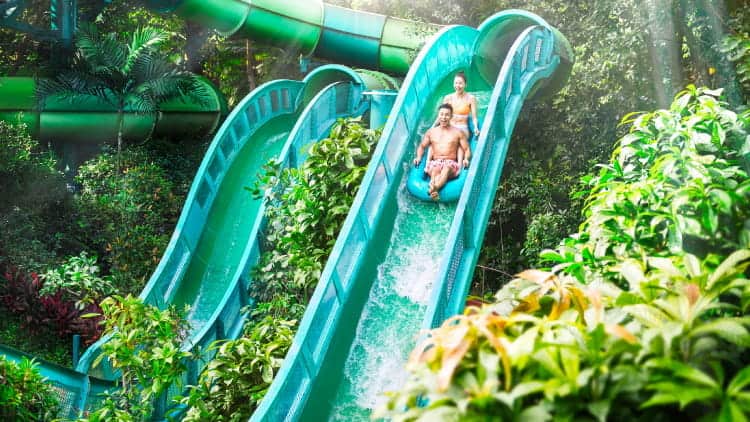 Adventure Cove Waterpark