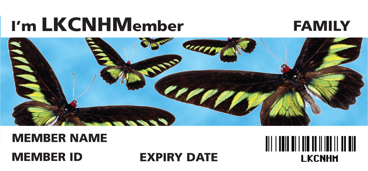 LKCNHMembership